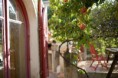 /album/galerie-photos/les-grenades-dans-le-jardin-jpg/